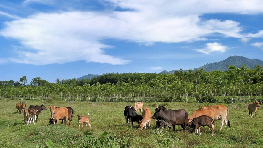 Hydroflux Epco Australia