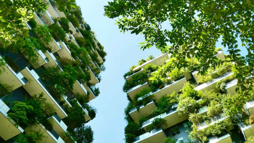 Hydroflux New Zealand